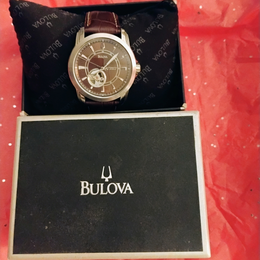 Bulova Silver and Brown Automatic Watch - Picture 5 of 10
